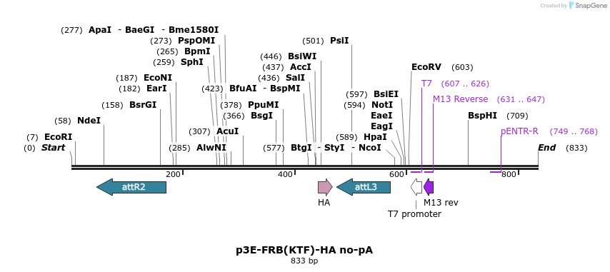 161280_map
