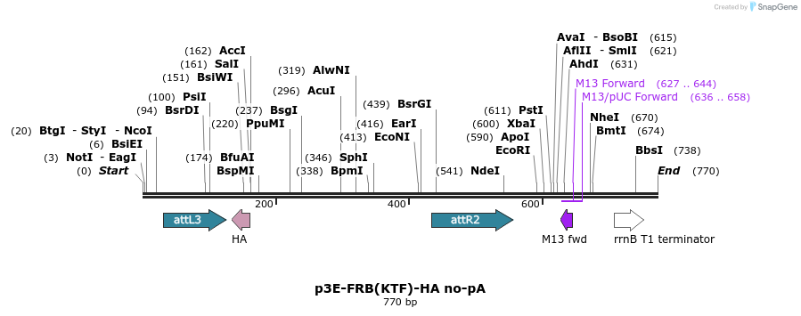161281_map