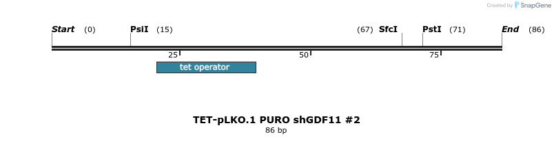 161285_map