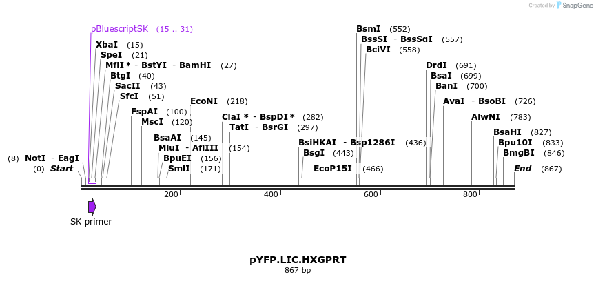 161288_map