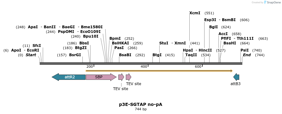 161289_map