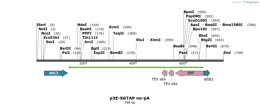 161290_map