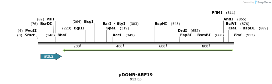 161291_map