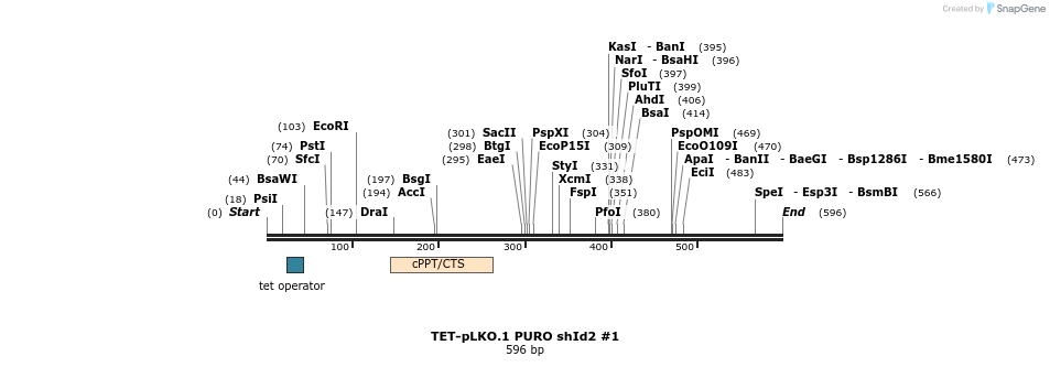 161295_map