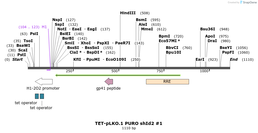 161296_map