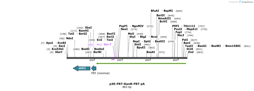 161297_map