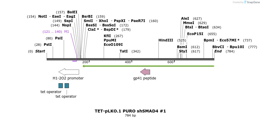 161301_map