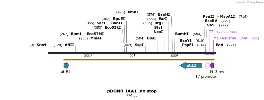 161302_map