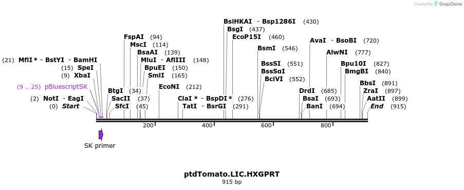 161303_map