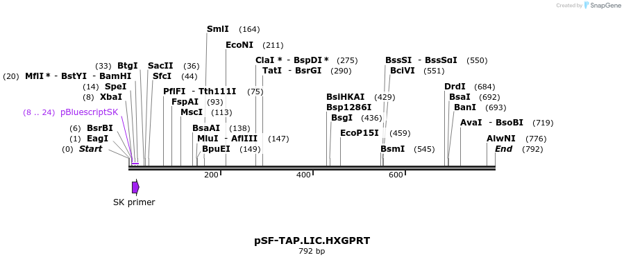 161305_map