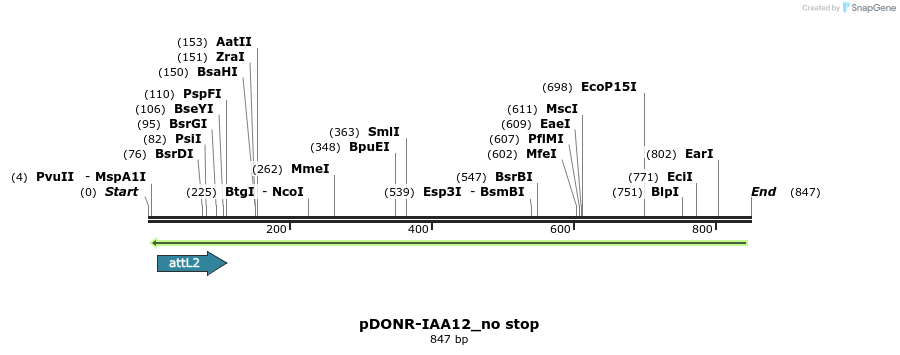 161306_map
