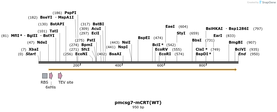 161308_map