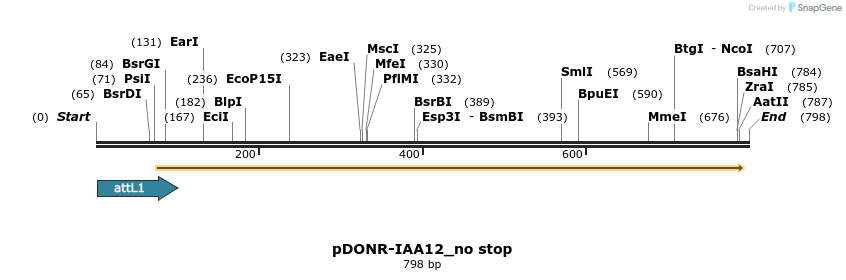 161310_map