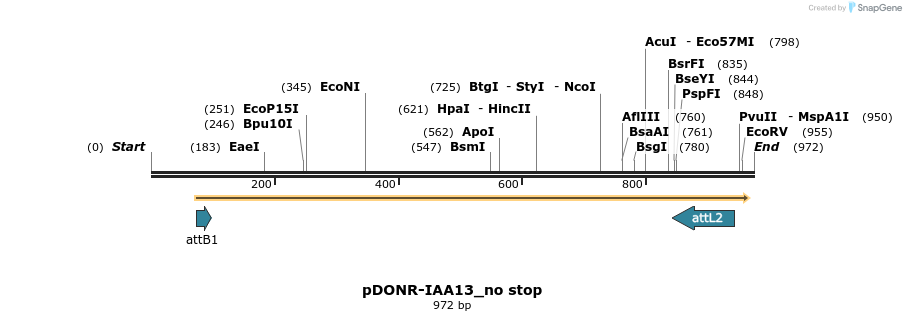 161320_map