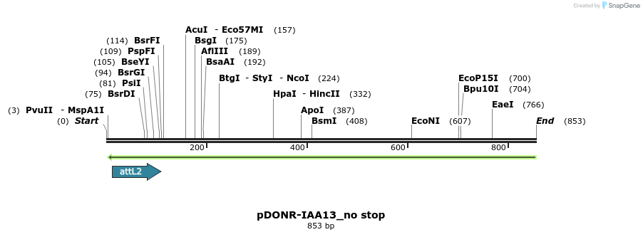 161321_map