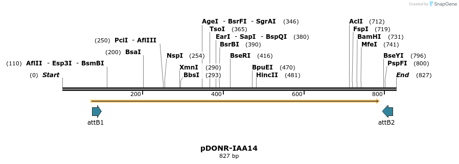 161323_map