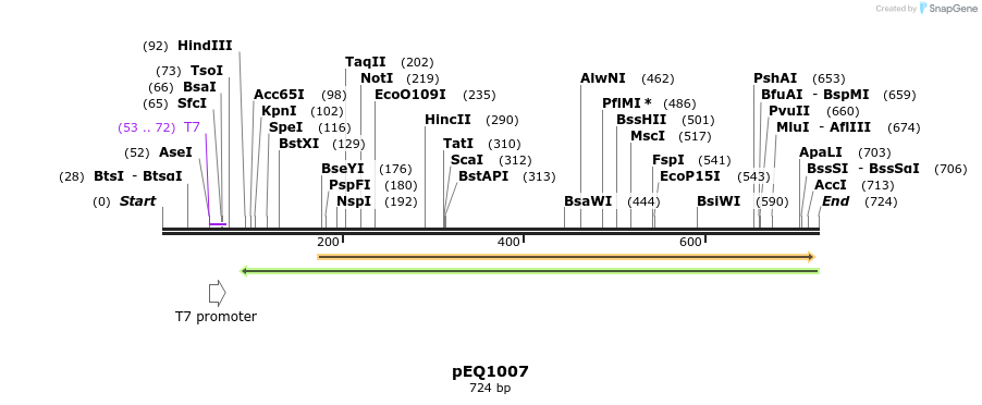 161325_map