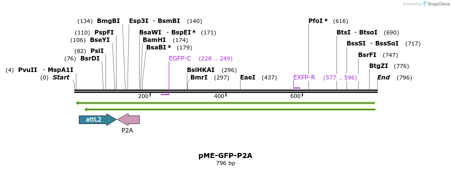 161326_map