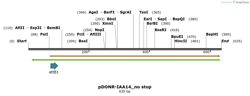 161330_map