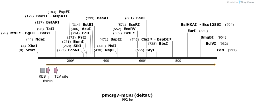 161333_map