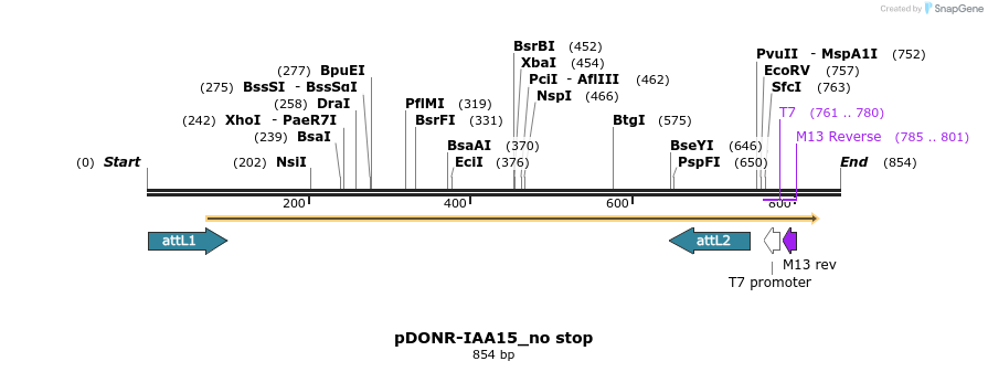 161334_map