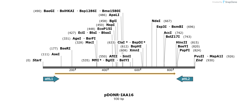 161338_map