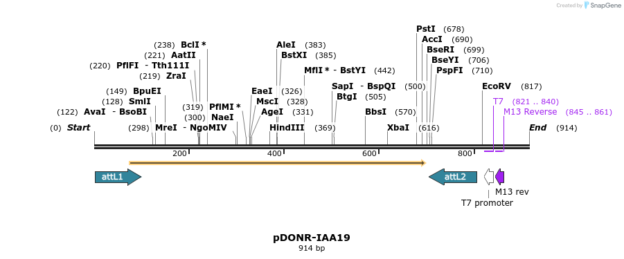 161342_map