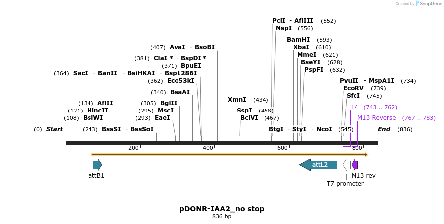 161346_map