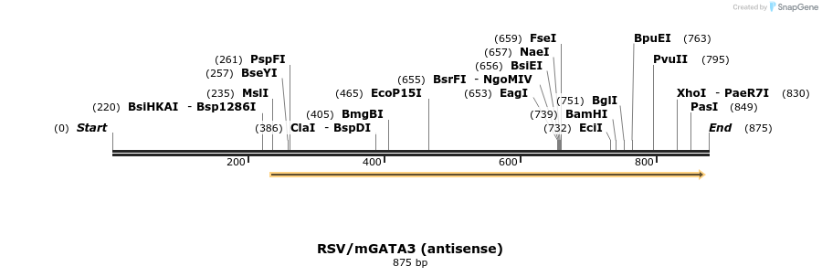 161348_map