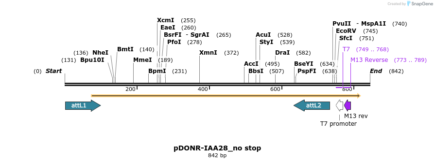 161353_map