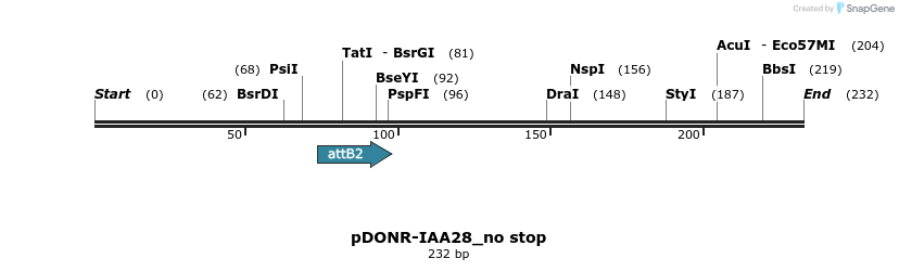 161354_map