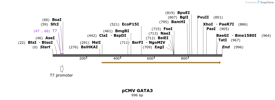 161356_map