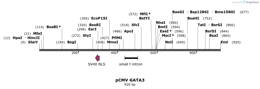 161357_map