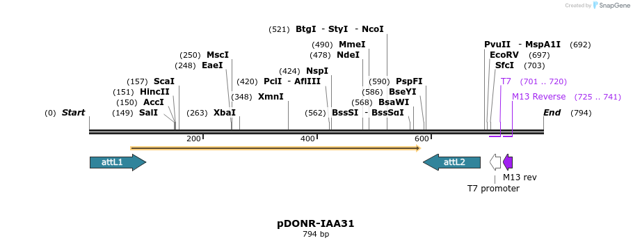161363_map