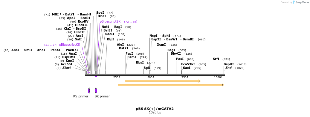 161364_map