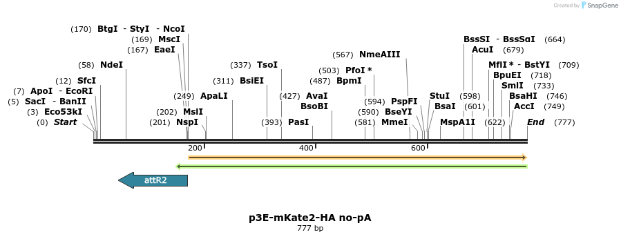 161365_map