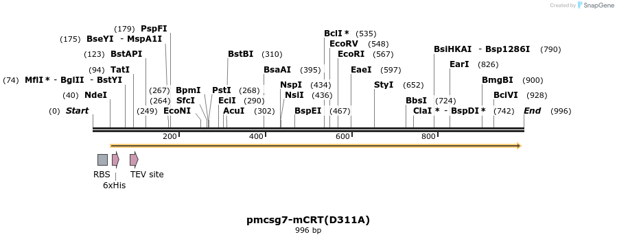 161366_map