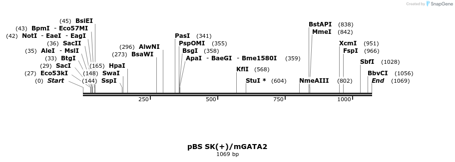 161368_map