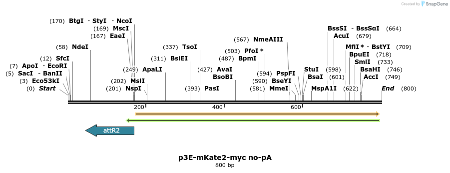 161369_map