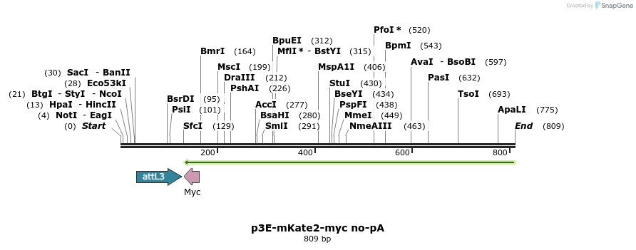 161370_map
