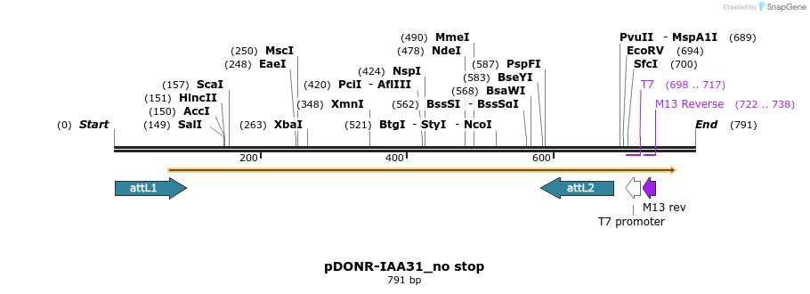 161371_map