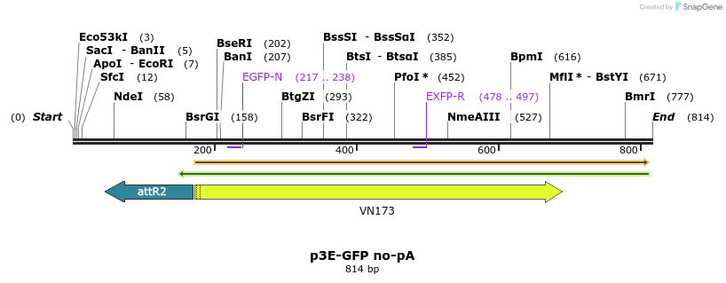161373_map