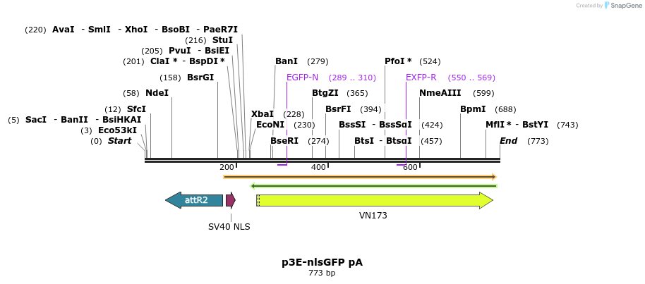 161375_map