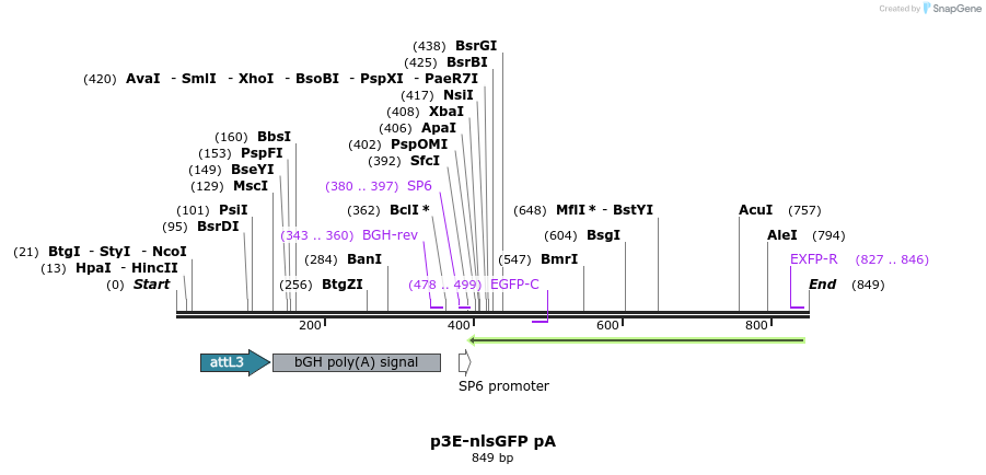 161376_map
