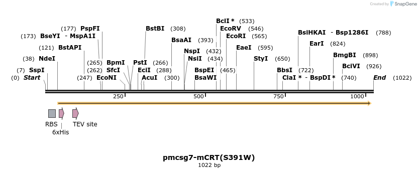 161380_map