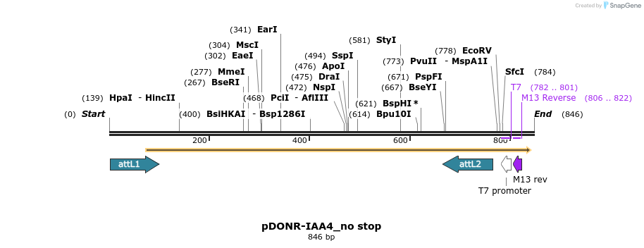 161389_map