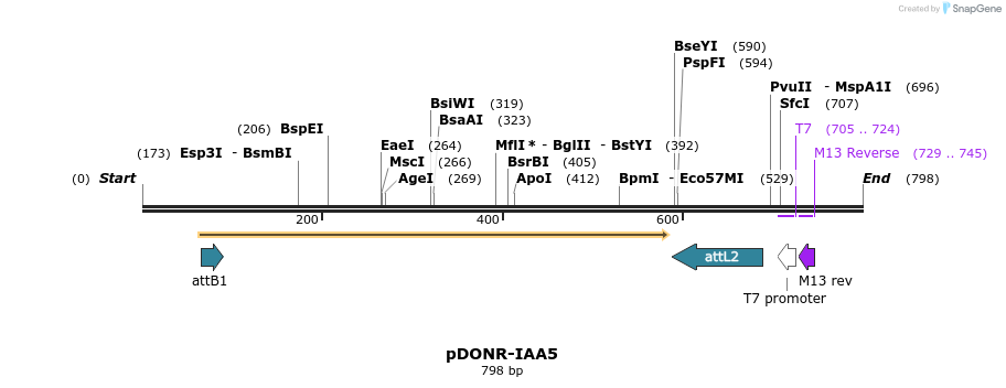 161392_map