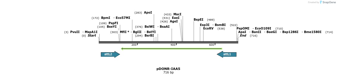 161394_map