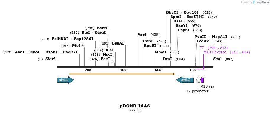 161400_map