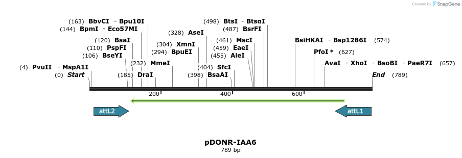 161401_map